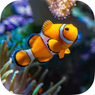 Splideカルーセルのアイコン